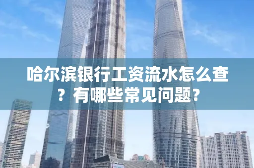 哈尔滨银行工资流水怎么查?有哪些常见问题?