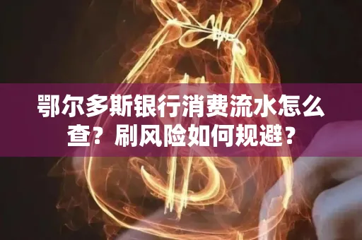 鄂尔多斯银行消费流水怎么查?刷风险如何规避?